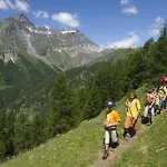 Petit Tournalin