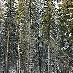 Hotel Petit Tournalin Champoluc