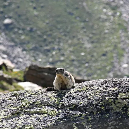 培缇图娜琳酒店