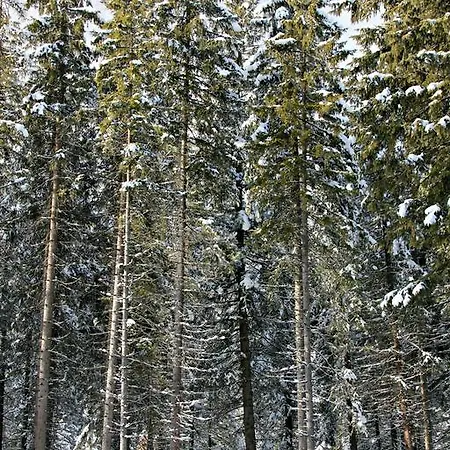 酒店 培缇图娜琳酒店 尚波吕克