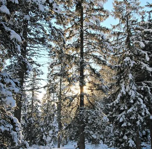 호텔 Petit Tournalin 3*