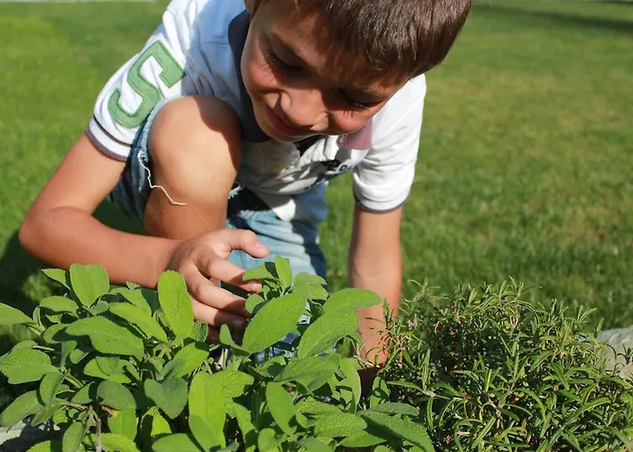 Hotel Petit Tournalin Champoluc