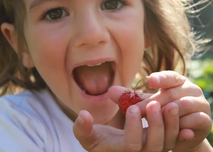 Petit Tournalin 샴폴루크